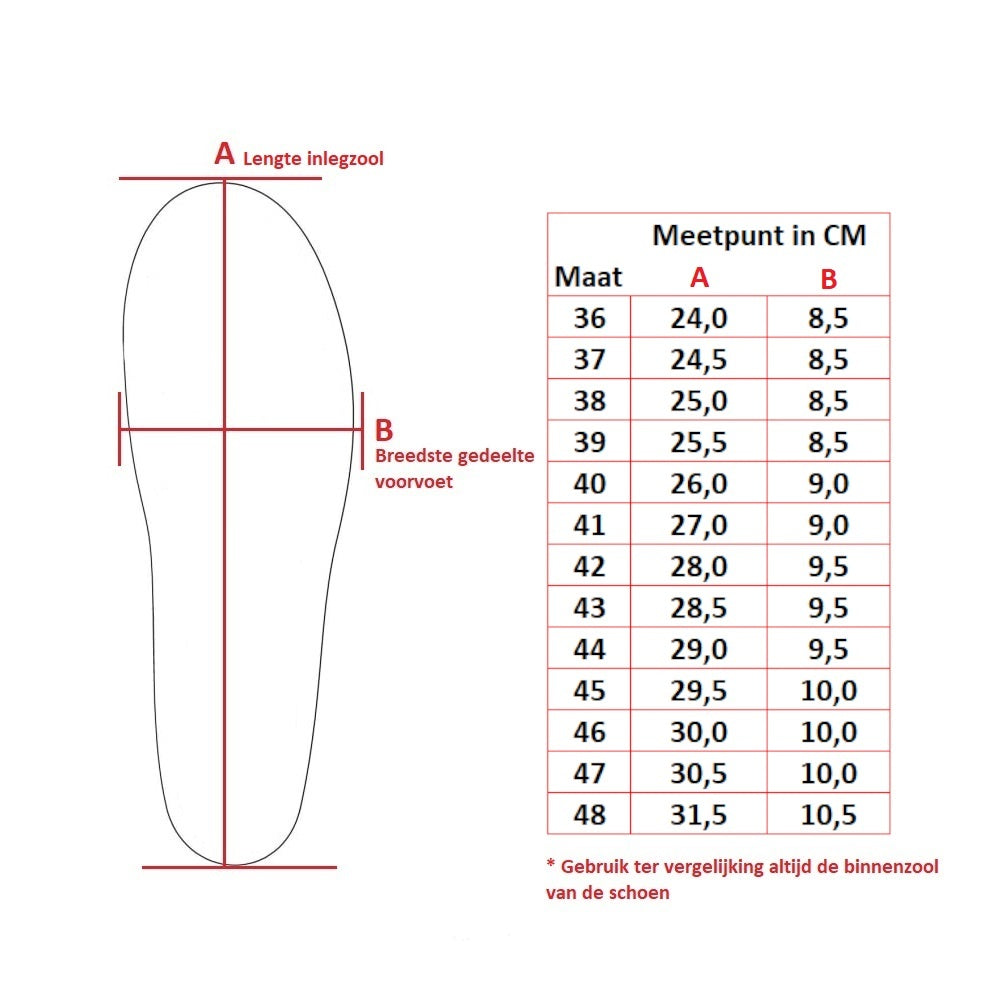 Mysole Anatomical Special insole