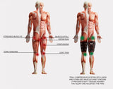 Reh4Sport Thigh Brace / Upper Leg Brace